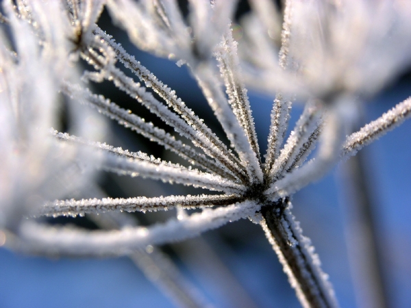 Meteorologové hlásí, že bude hodně pod nulou.